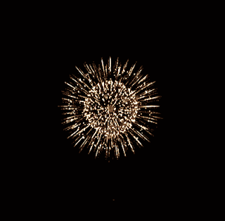 Gif animé feux d'artifices 205